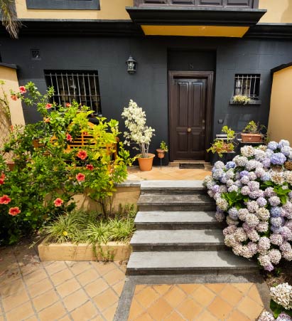 Jardim cuidado na entrada de casa